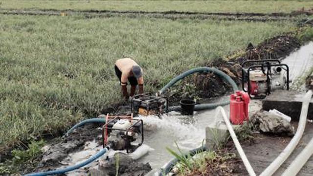 Bantuan irigasi perpompaan untuk Kelompok Tani Karya Lestari, Desa Karangrejo, Kecamatan Jati Agung, Kabupaten Lampung Selatan diberikan mengairi lahan Sawah seluas 60 Ha (Padi, jagung dan Singkong)/Istimewa.